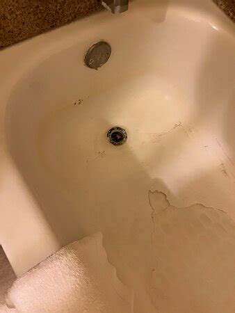 COMFORT INN & SUITES $65 ($̶8̶0̶) .